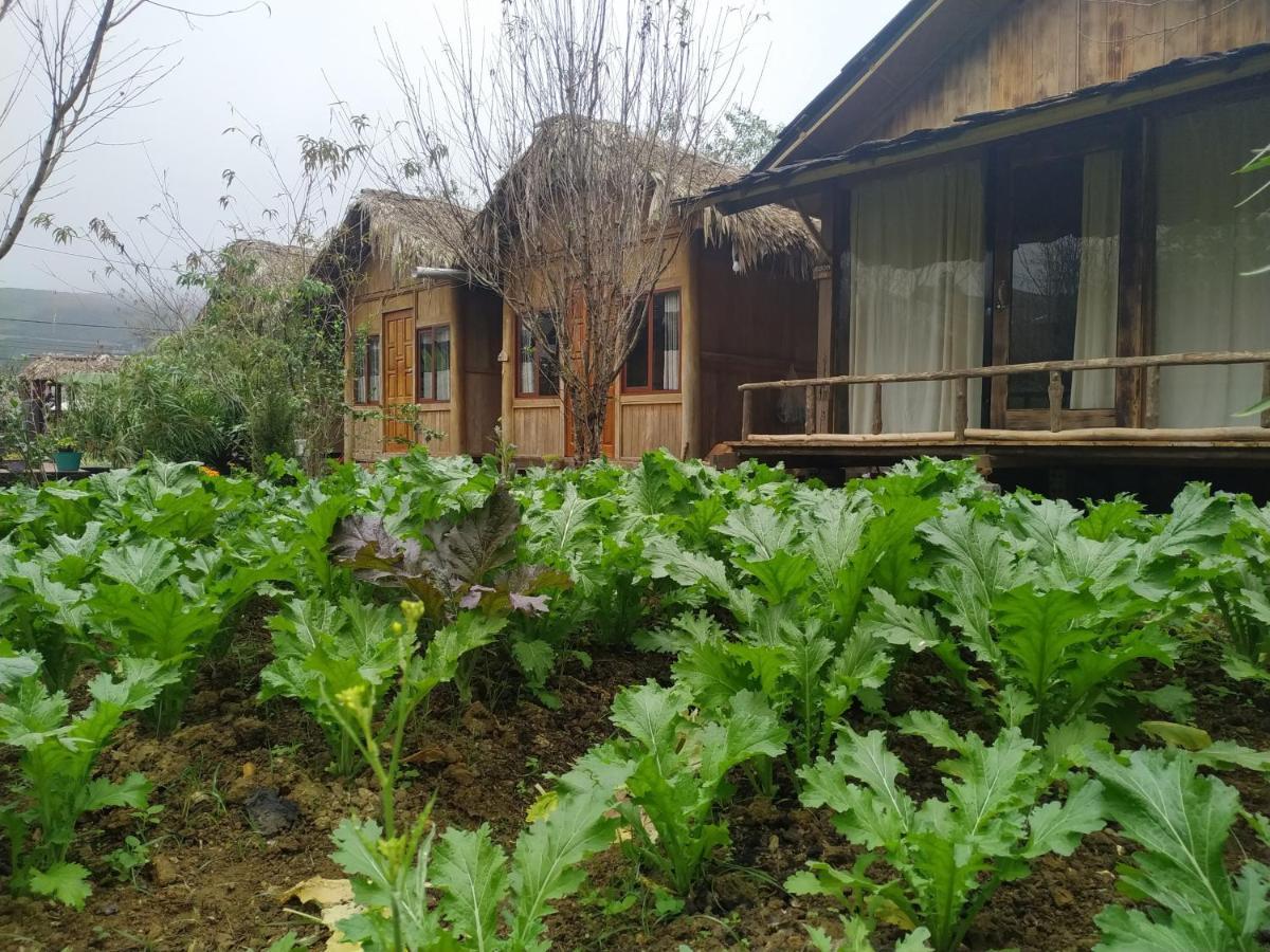 Anh Duc Homestay Sapa Exterior photo