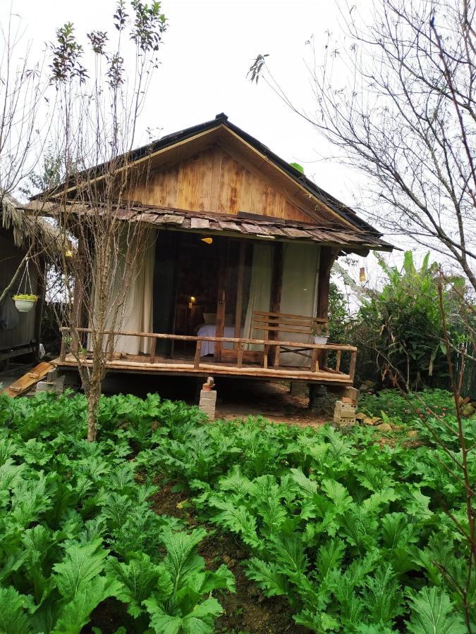 Anh Duc Homestay Sapa Exterior photo